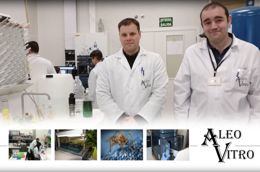 Aleovitro